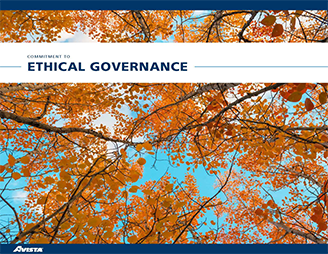 Ethical Governance image