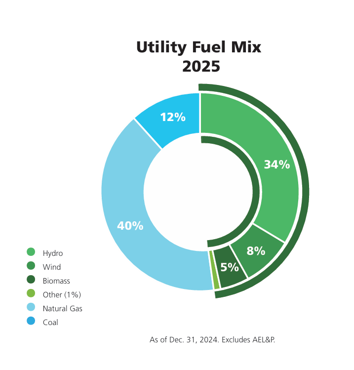 Energy Mix